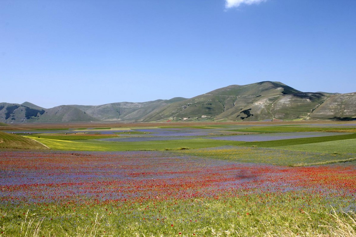 Castelluccio di Norcia (Pg) deve restare parco nazionale