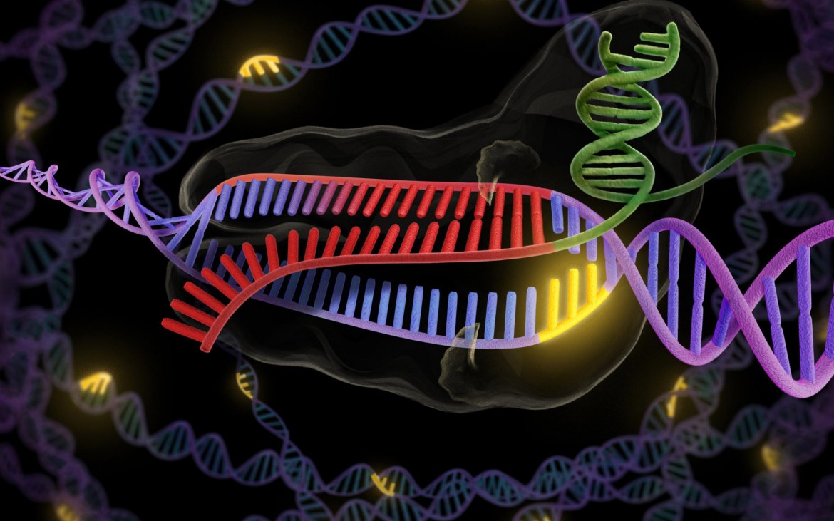 L’enzima giusto che ripara i danni genetici