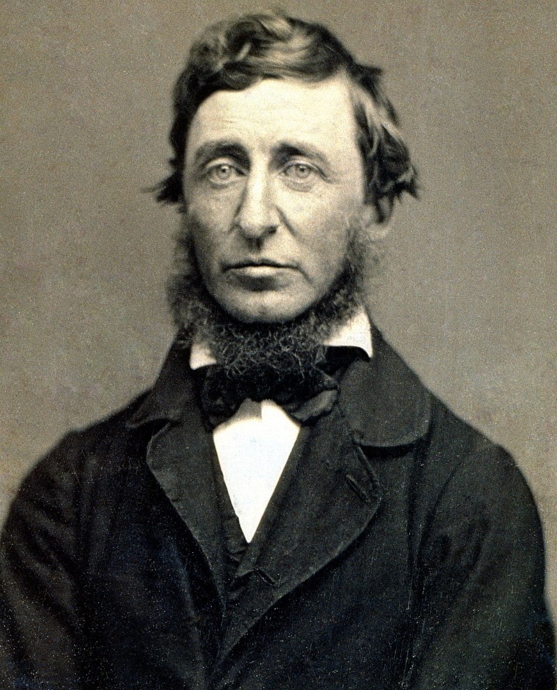 «Thoreau è il nuovo ecologismo»