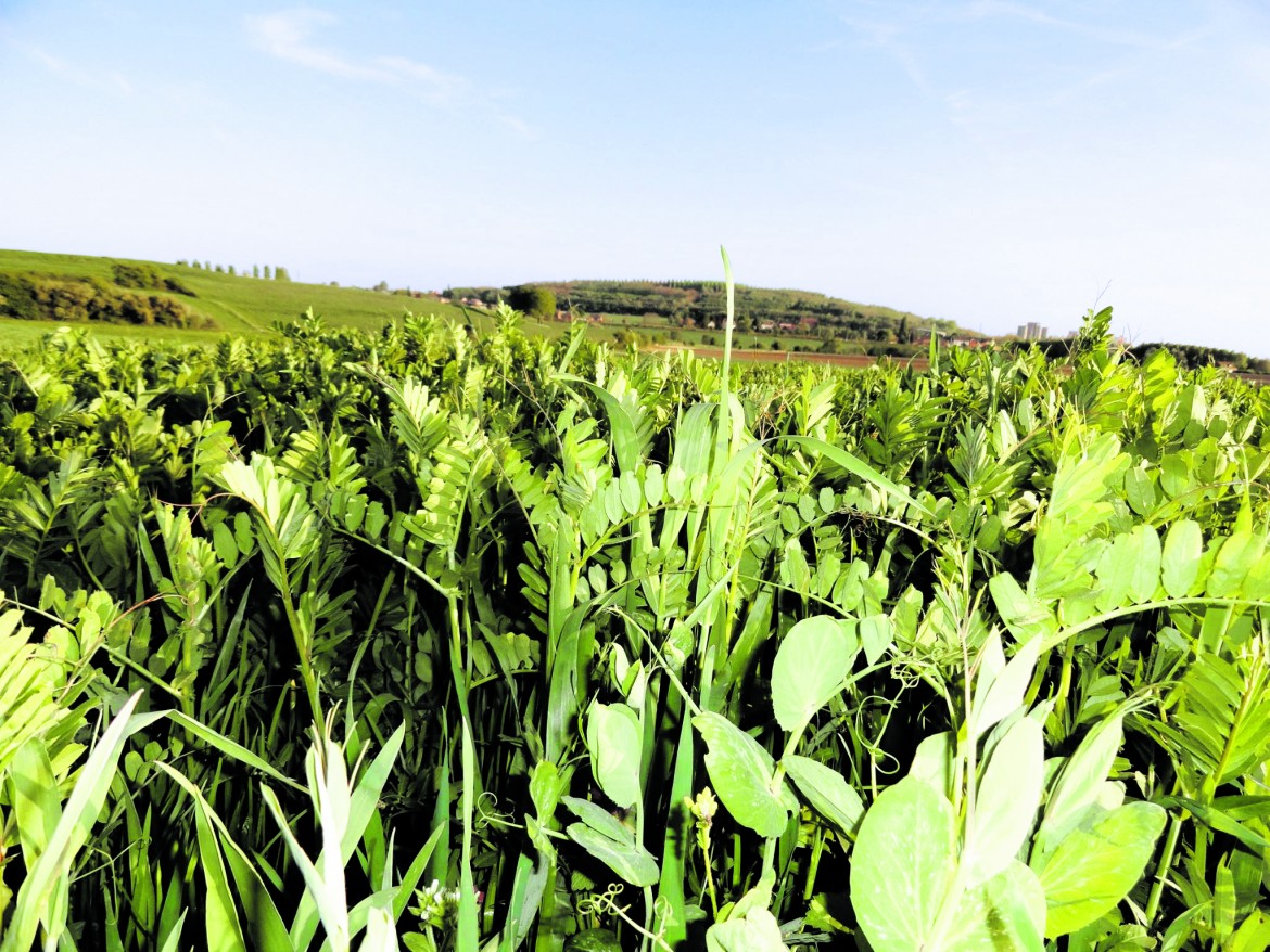 Agroecologia, una silenziosa rivoluzione