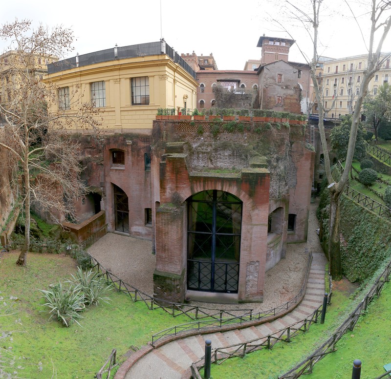 La nobile storia degli alberi in città