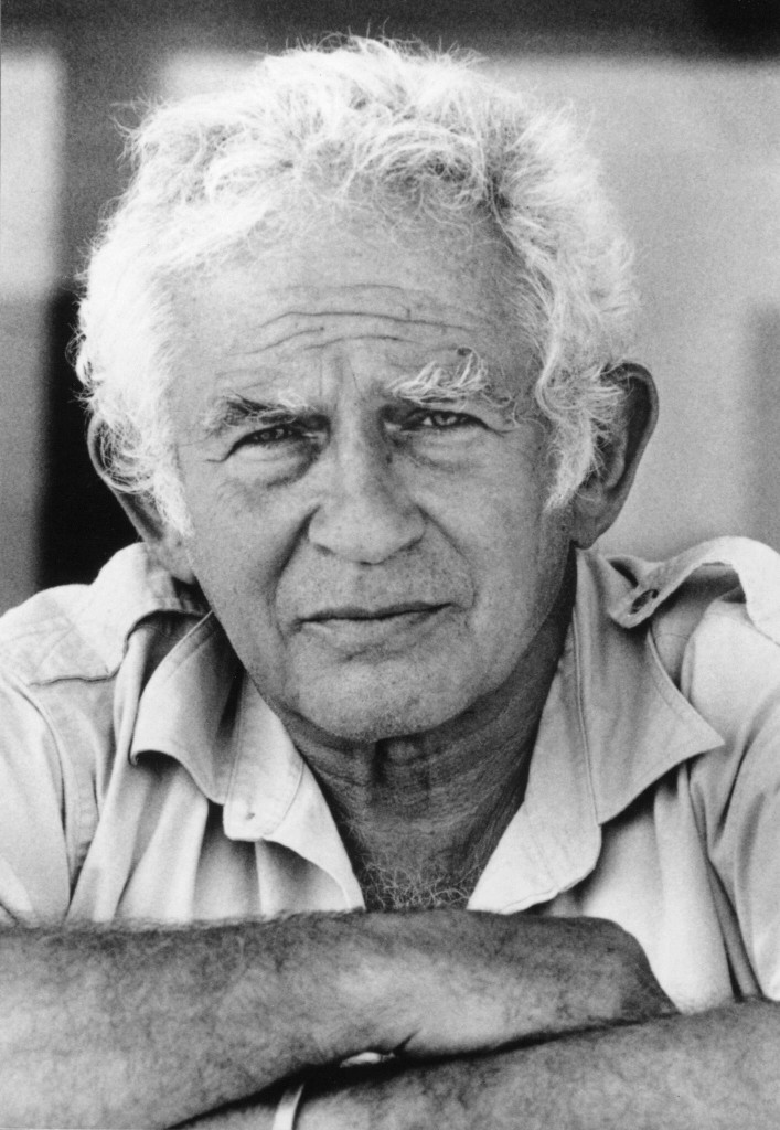 Norman Mailer W.T. Vollmann Joy Williams… scrivere  vuol dire soffrire