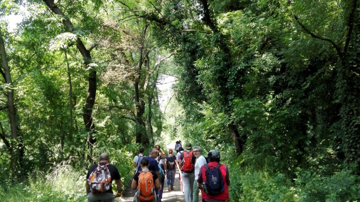 Il «Bosco urbano» di Bologna rischia il cemento