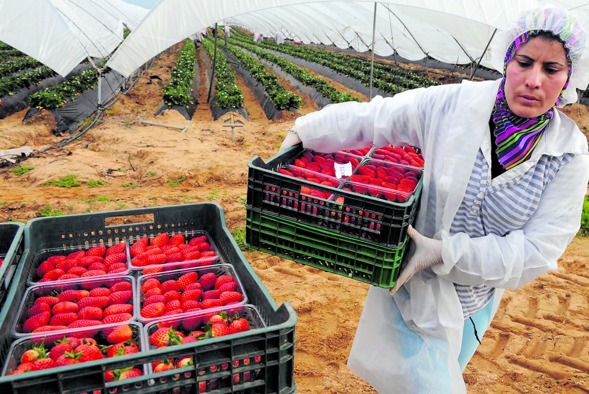 Huelva, la stagione dello sfruttamento