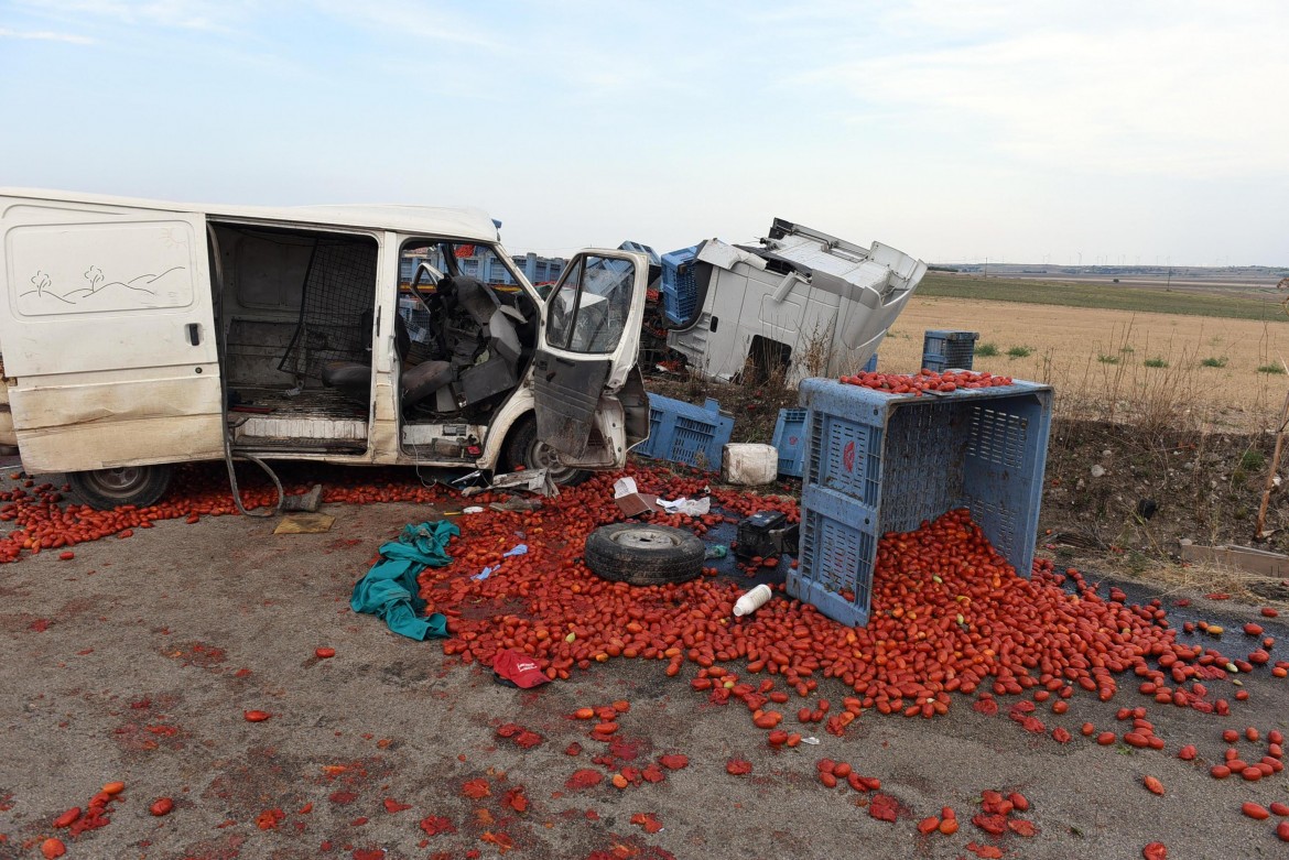 Tornavano dai campi a Foggia. Braccianti uccisi da un tir