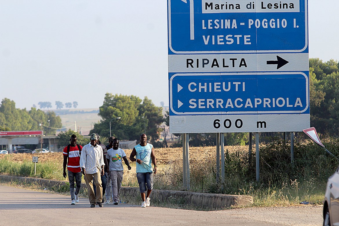 Appello Flai Cgil: tutelare i migranti che lavorano nei campi