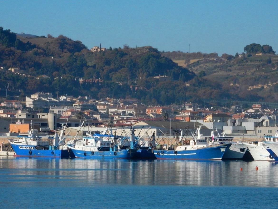 Adriatico non piglia pesci