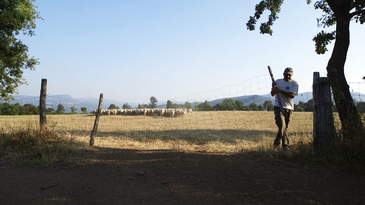 La resistenza di «Lorello e Brunello»