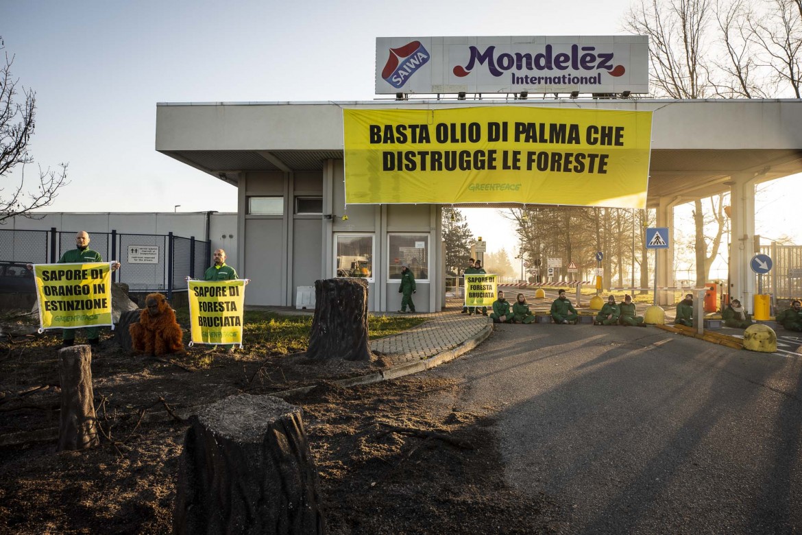 La foresta bruciata di Alessandria