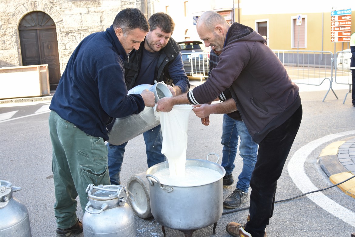 Assolatte dichiara guerra ai pastori