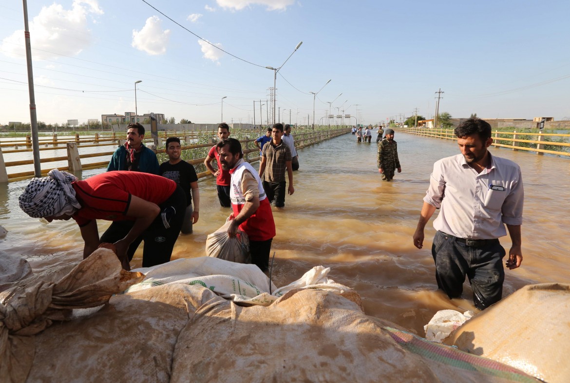 Le piaghe bibliche della Repubblica islamica: dopo l’alluvione, le cavallette