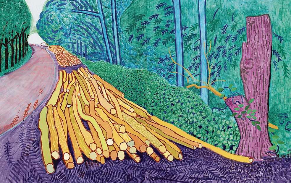 Hockney, lo Yorkshire sotto il sole di Arles