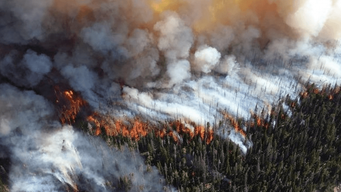 L’effetto domino dei cambiamenti climatici