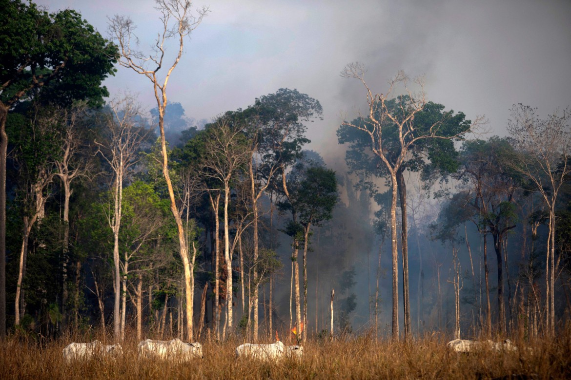 Il summit climatico  punta sul Sud globale