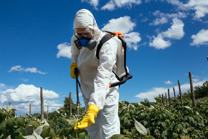 Più facile denunciare il dittatore Bolsonaro che l’industria chimica