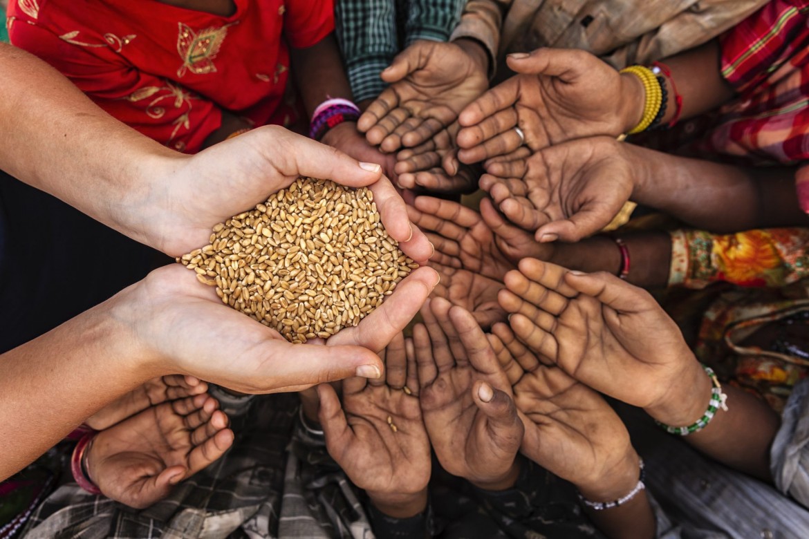 La Fao: «Il sistema alimentare  mondiale è al collasso»