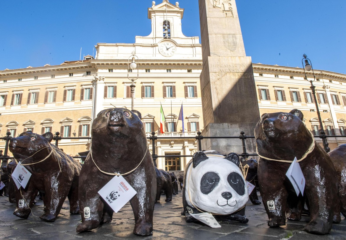 La protesta pacifica degli orsi marsicani