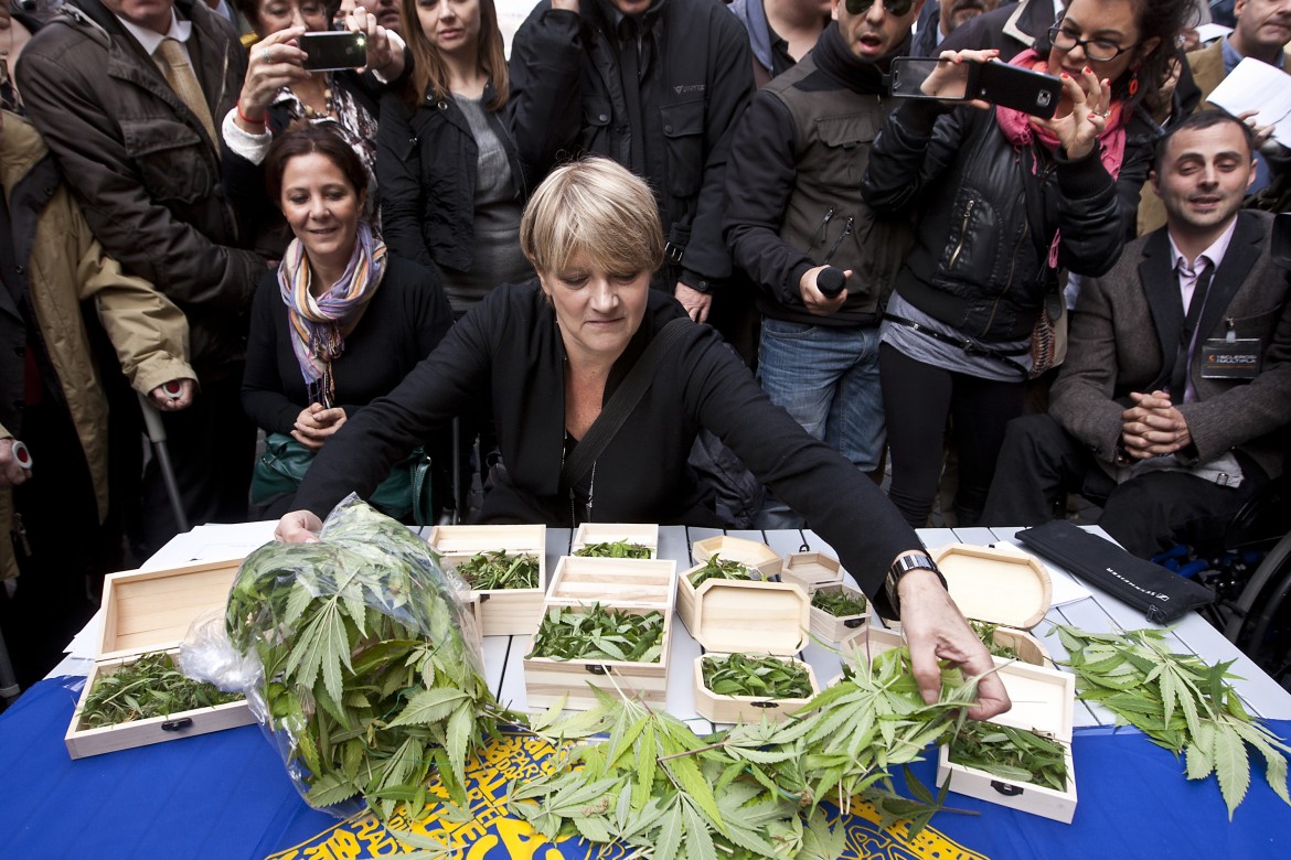 Cannabis «disonorevole»: Rita Bernardini alla porta