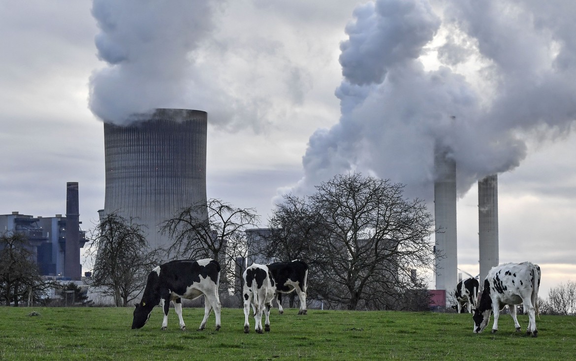 L’Europa ha il suo Green Deal, un passo avanti per il clima