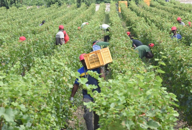 Facciamo emergere il lavoro nero dei braccianti