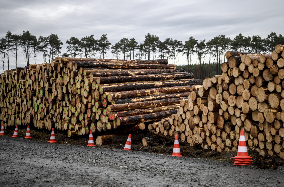 Il paradosso di Tesla, sospesi i lavori in Germania