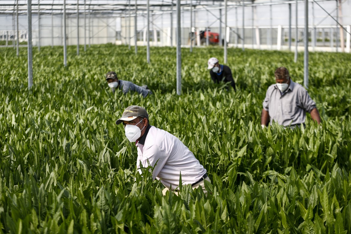 L’agricoltura non è solo questione di frutta e verdura