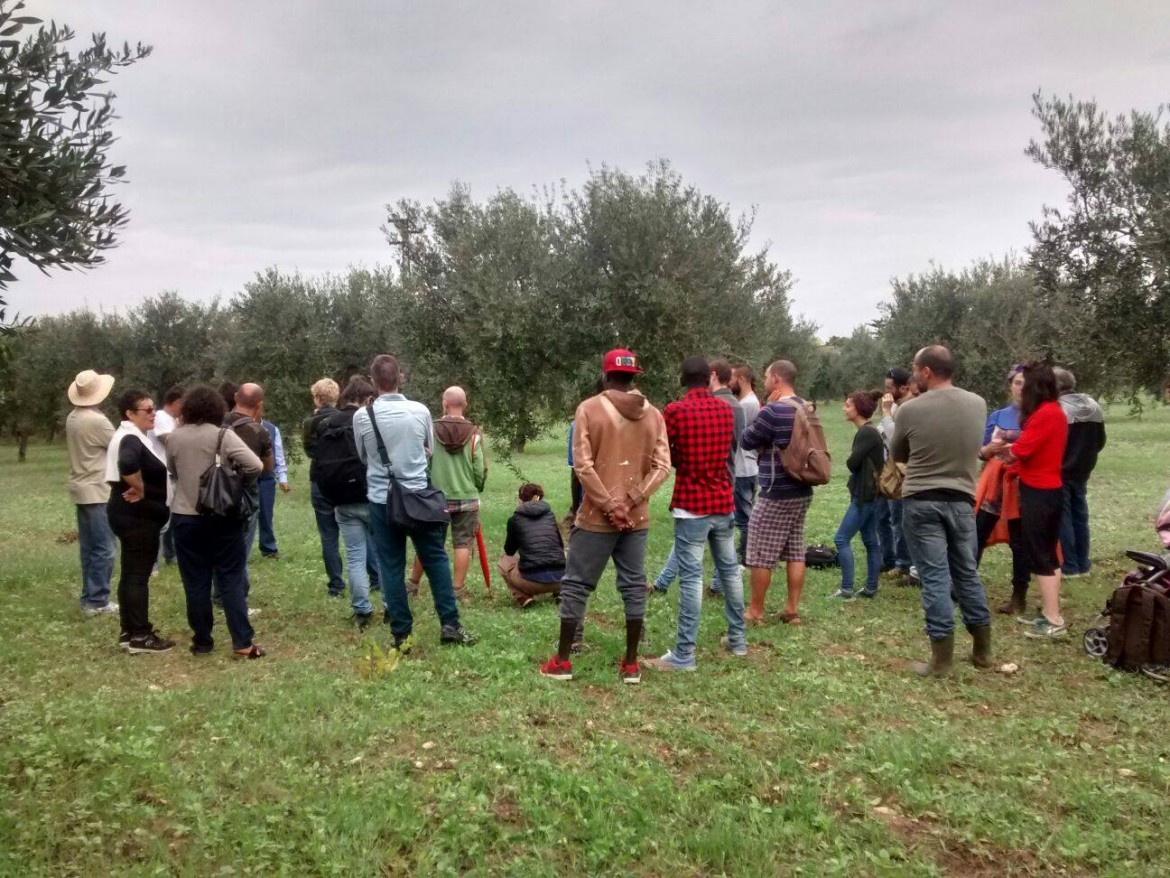 Campobello di Mazara,  braccianti stanziali confinati in un ghetto