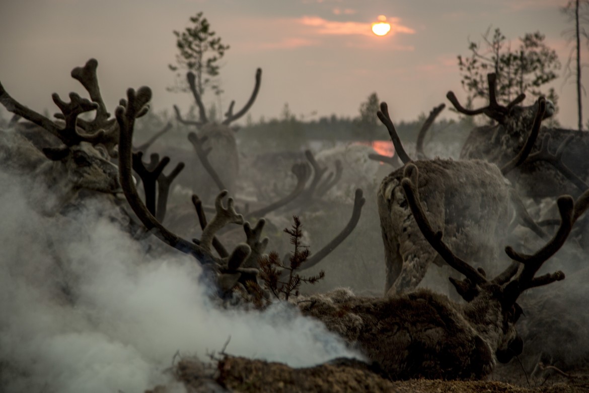 Effetti drammatici del cambiamento climatico anche sulle epidemie