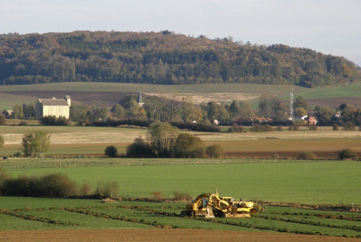 Terra, muffa e trattori. Mutamenti agricoli e tattili