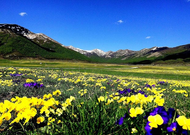 In Abruzzo la Lega taglia il Parco naturale del Sirente-Velino