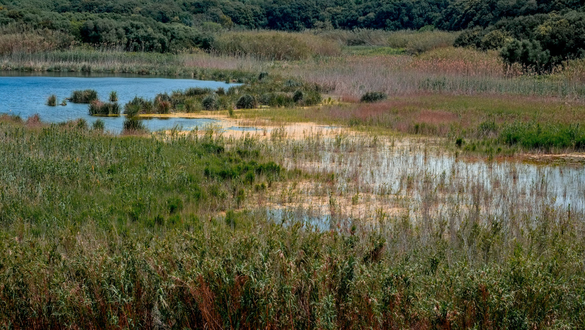 Tra i fotogrammi dolenti di un’isola