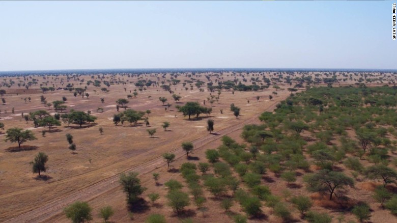 Africa, la «grande muraglia verde» è ancora piccola