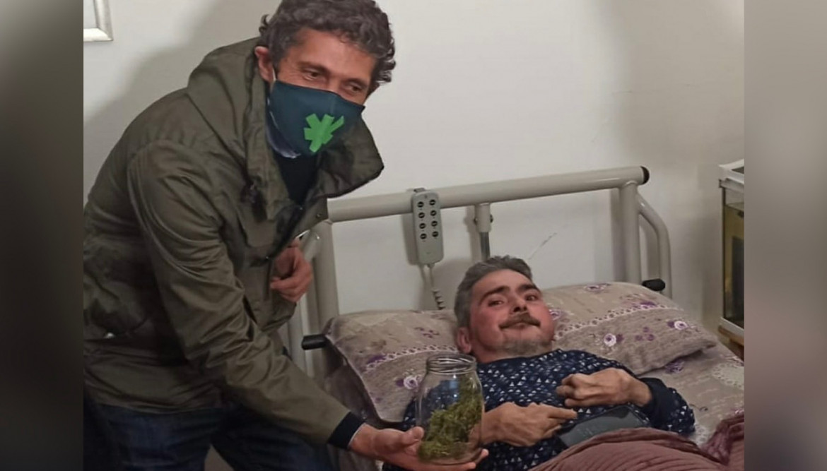 Cannabis terapeutica, oggi De Benedetto non sarà in aula