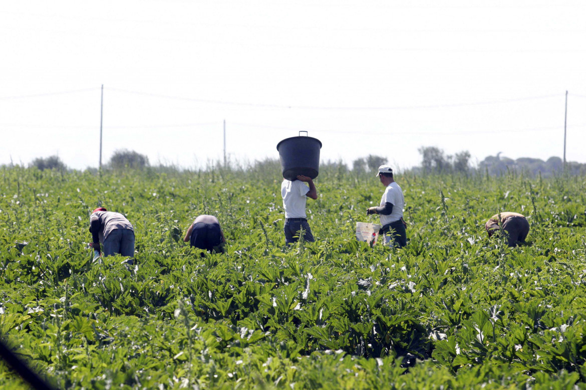 L’anno orribile dei braccianti immigrati