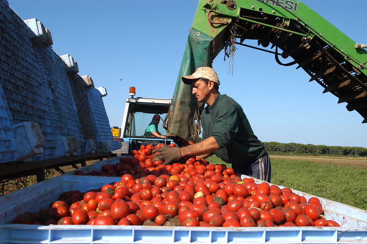 Covid, mancano 200 mila posti in agricoltura per le frontiere bloccate