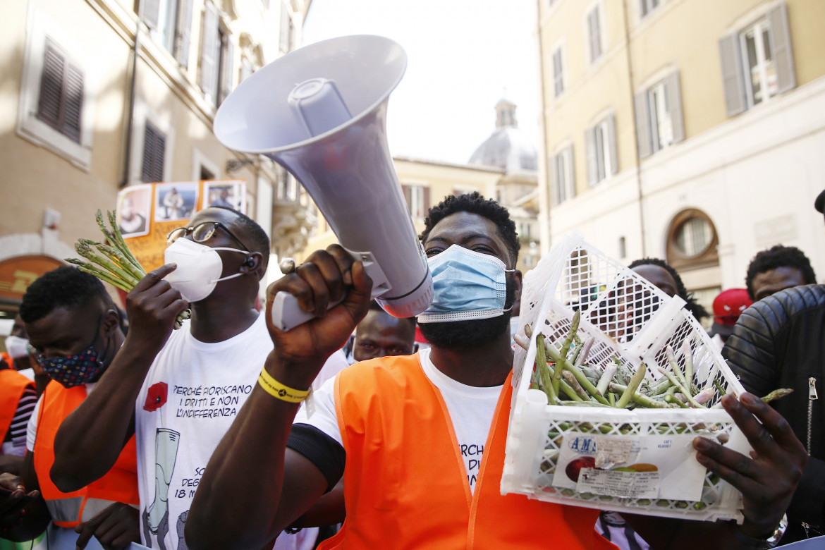 I braccianti davanti al Parlamento: «Diritti, salario, accesso alla sanità»