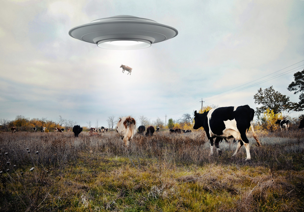 Attenti agli Ufo