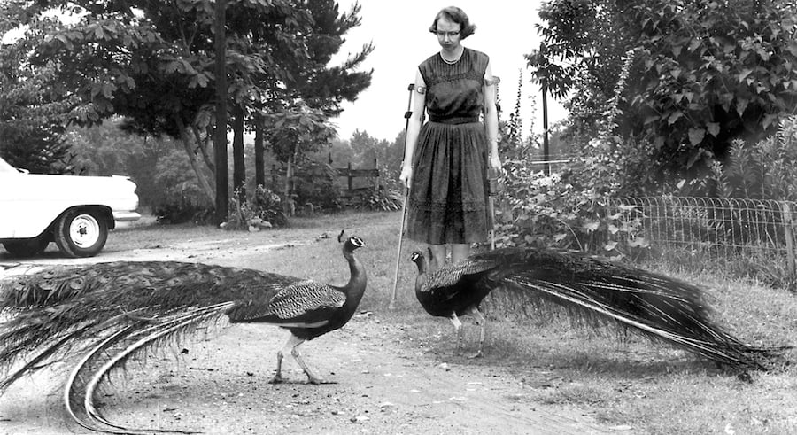 Flannery O’Connor, nel grottesco un viatico per la redenzione