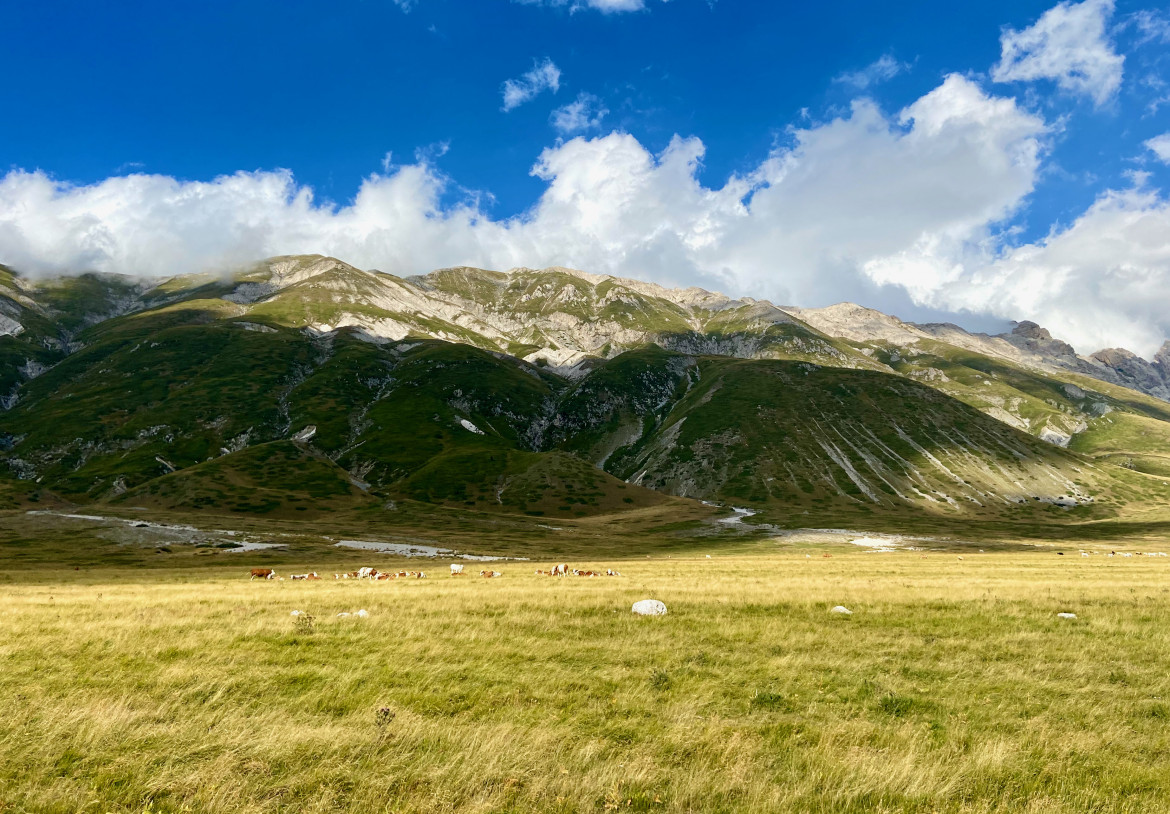 Pascoli fantasma, in Abruzzo e non solo