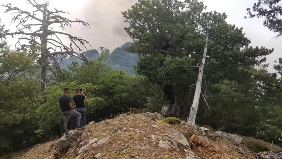 Quando coltivatori e pastori custodivano il Parco dell’Aspromonte