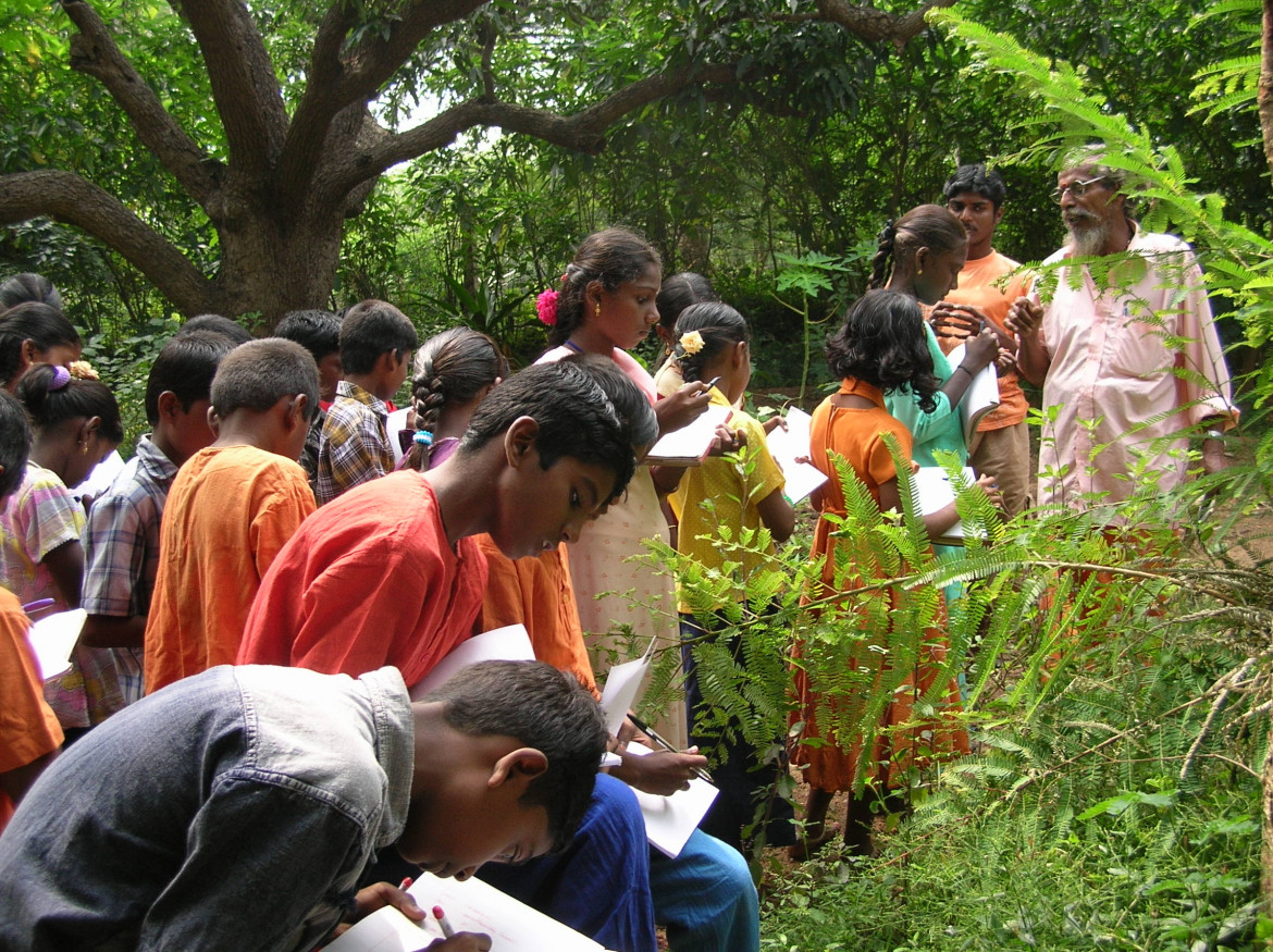 Gli antichi doni verdi dell’India