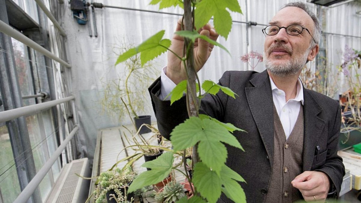 Stefano Mancuso, la salvezza è negli alberi