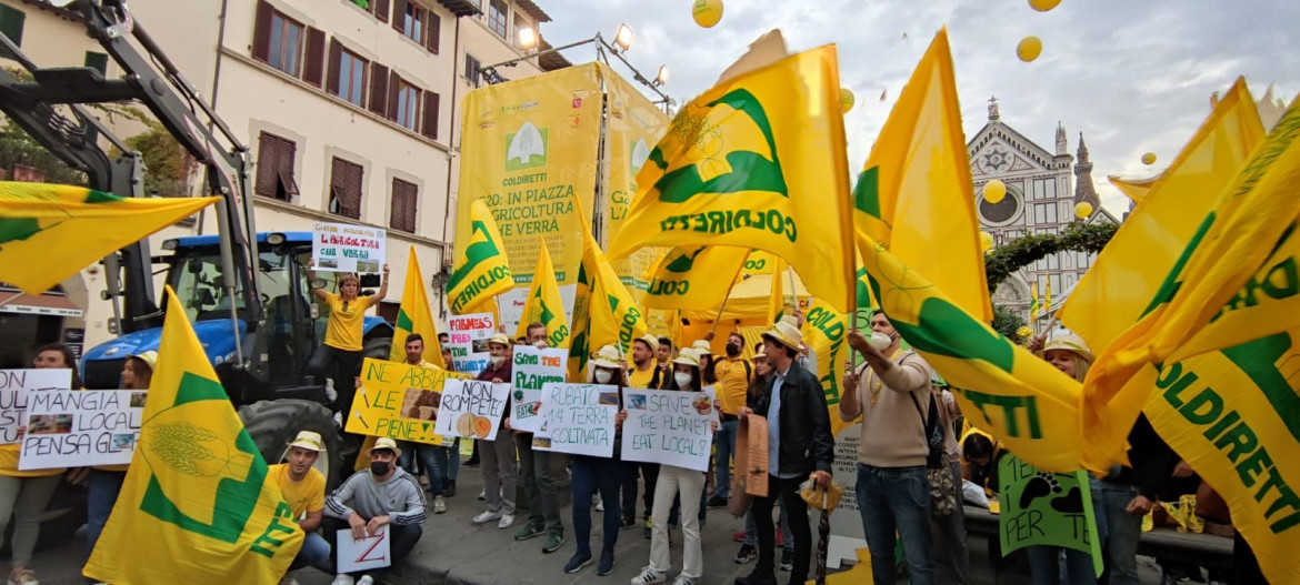 «Nel 2020 una persona su tre non ha avuto un accesso adeguato al cibo»