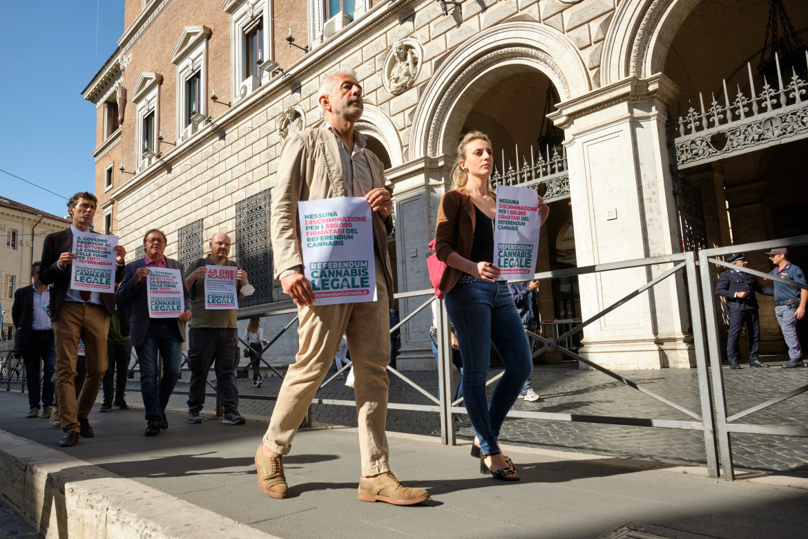 Cannabis legale, il decreto di proroga in Cdm. Ultime ore