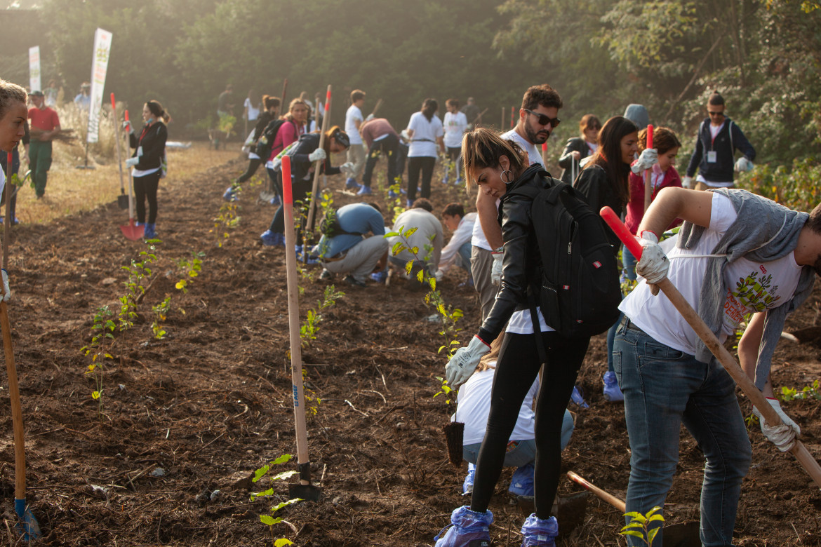 10mila alberi per rigenerare le periferie delle città