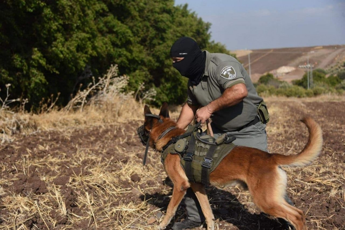 Catturati due degli evasi palestinesi dal carcere di Gilboa