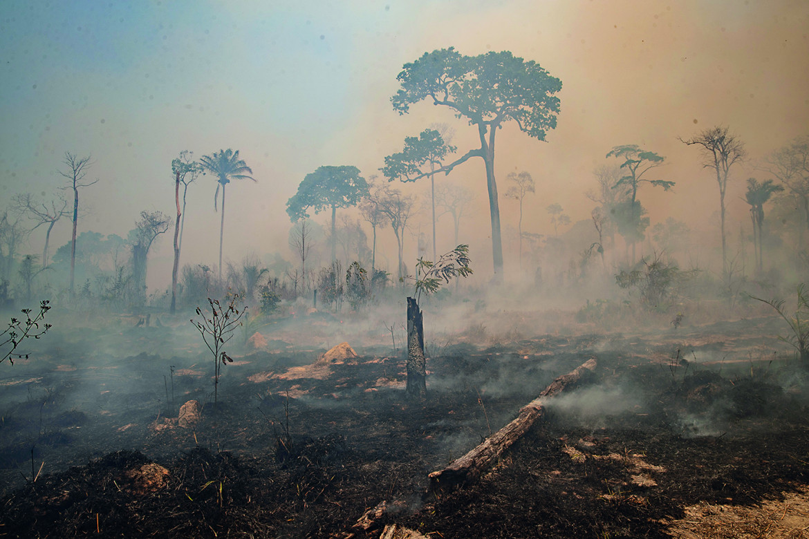 Sulle foreste ancora promesse, ma in passato nessuno le ha mantenute