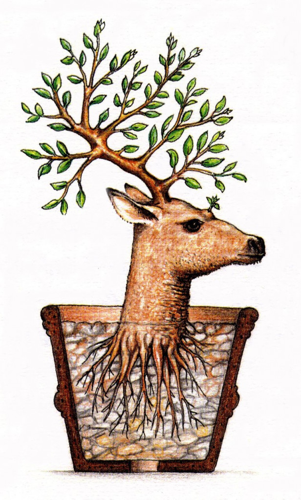 Codex Seraphinianus, la stravaganza dell’illuminismo