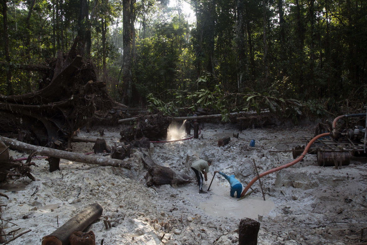 L’oro illegale dell’Amazzonia brilla tra le colline di Arezzo