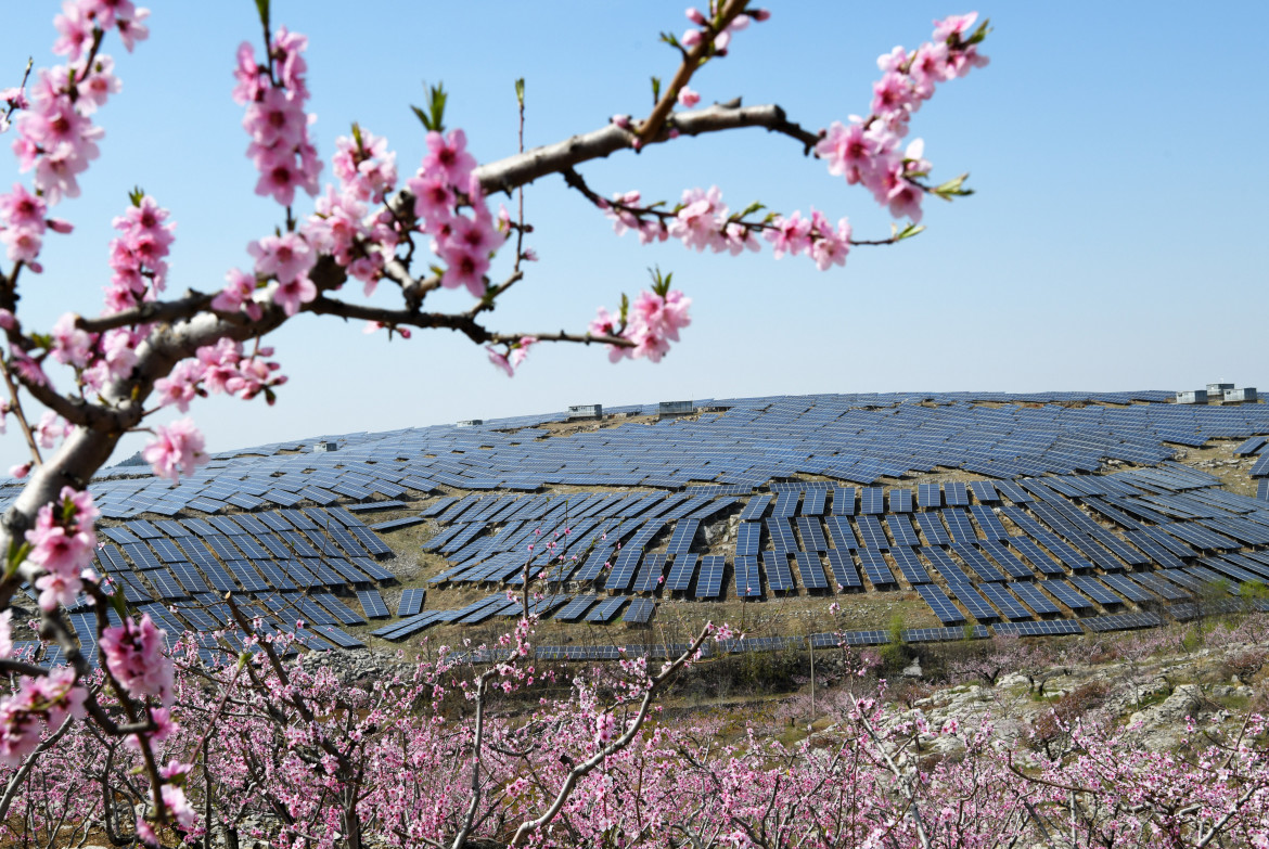 La transizione è fotovoltaica ma il gas resiste